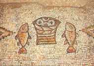 broodvermenigvuldiging Tagba 2