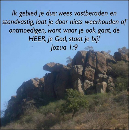 tekst951.jpg