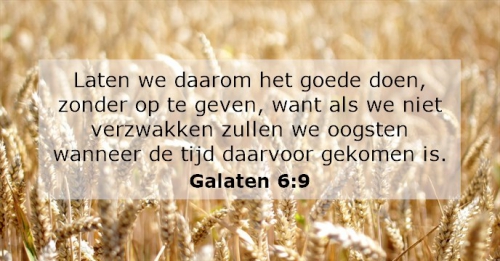 tekst bijbeltekst Galaten.jpg