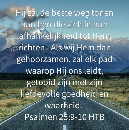 tekst bijbel psalm 25 nederl.jpg