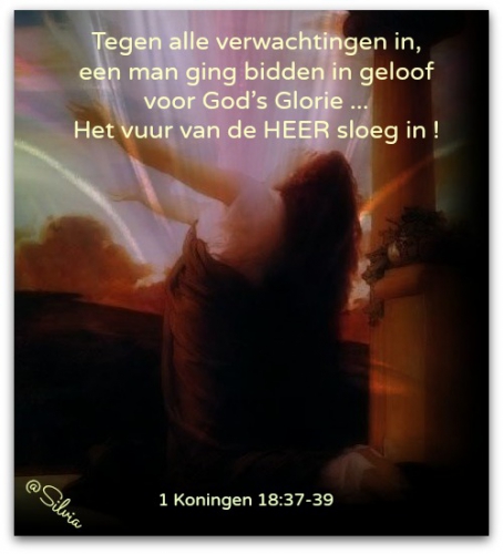 tekst bijbel nederlands27n.jpg