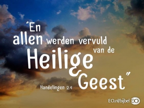 tekst handelingen.jpg