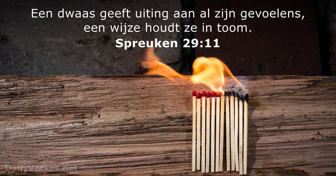 bijbeltekst spreuken-29-11