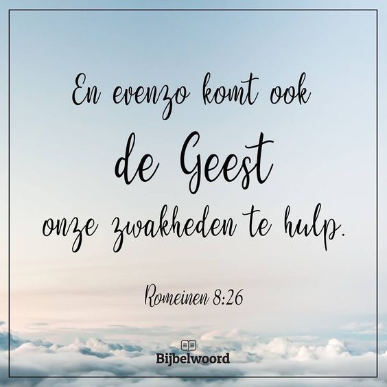 tekst bijbel Romeinen555