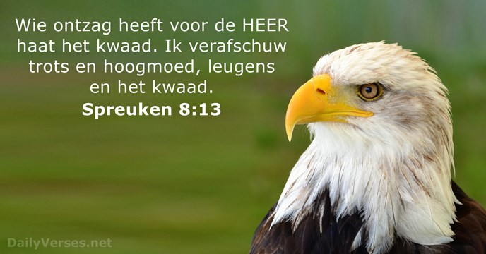 bijbelvers spreuken-8-13