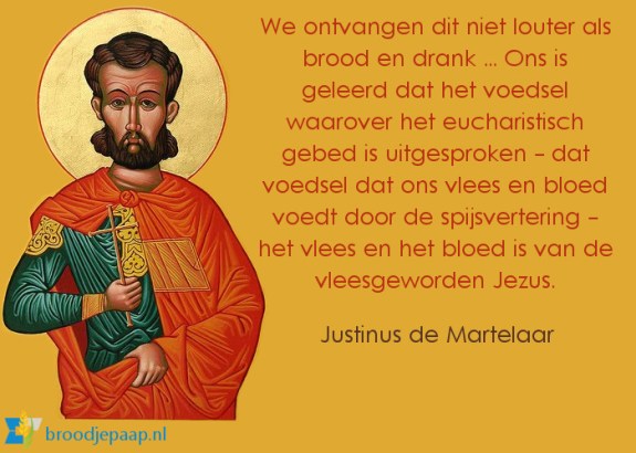 justinus martelaar12.jpg