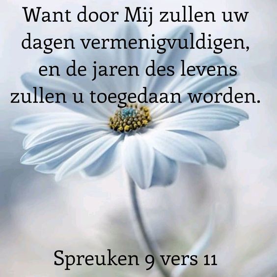 tekst bijbel spreuken87