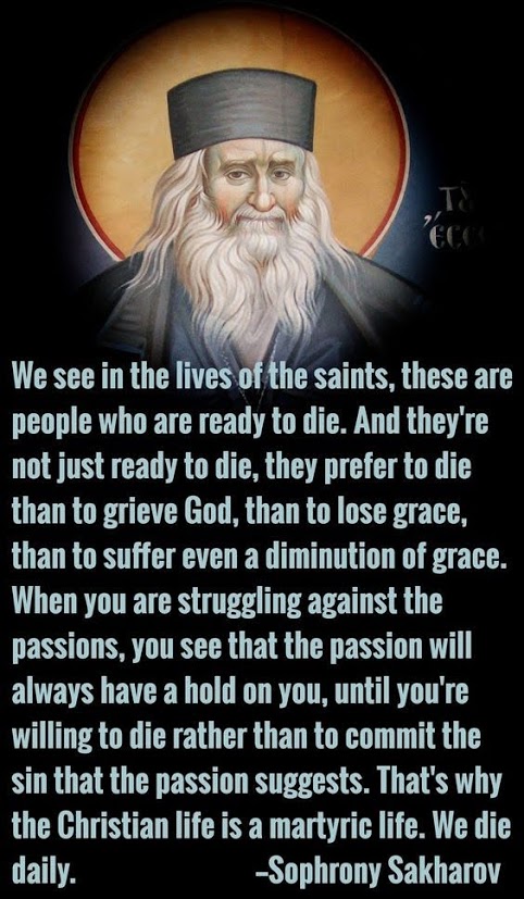 505def6c54ea75389ff62da2c7c35802 (1)