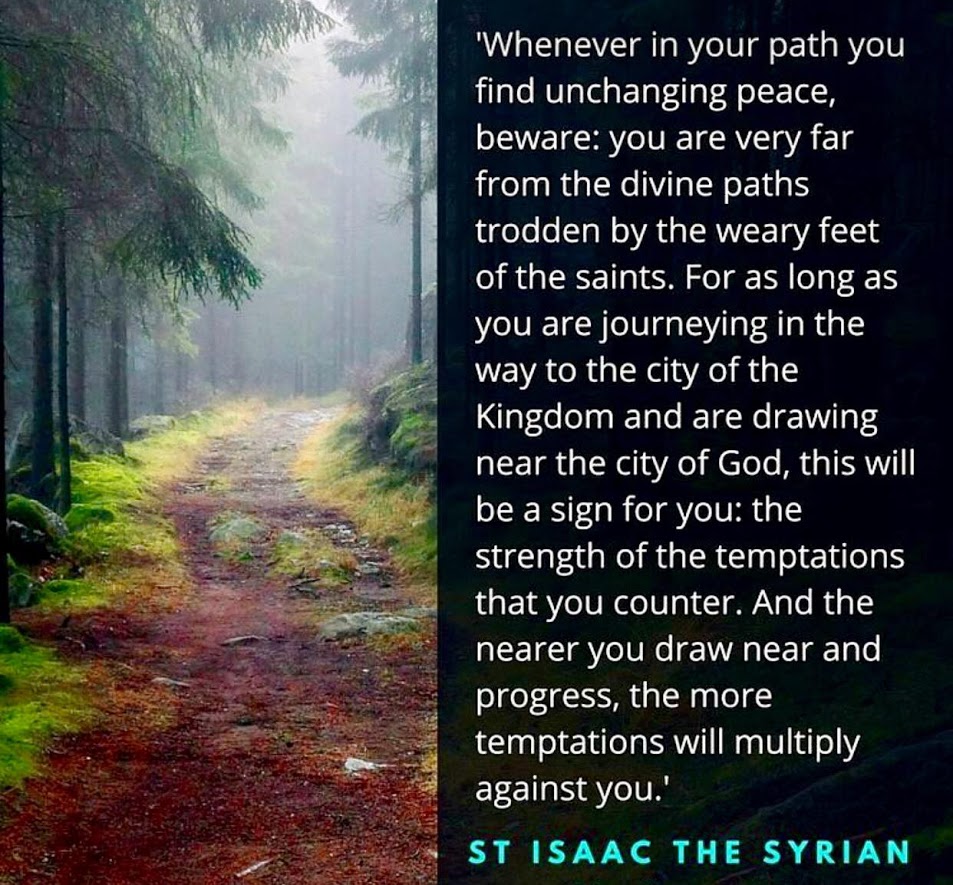 17097450_732581973578530_7407473761854982265_o