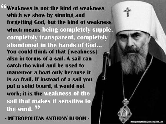 2b8c96775fa7ddbbf0a352cf5d2c364d