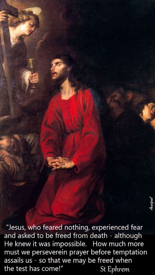 0897b4695f740f80403902ea3ab134b9