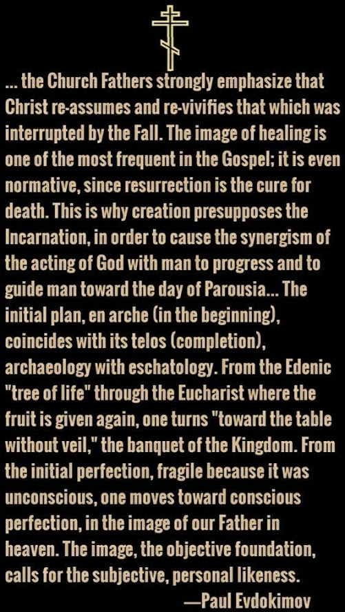 fd5c7912f4a7569b1f294701b6389baa (1)