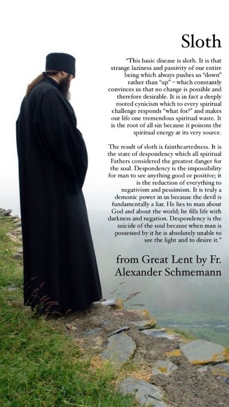 50f467f1931fe4c2d59d1ff2339a3864