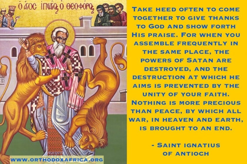 91530176_2447072675392898_6597182908979478528_o