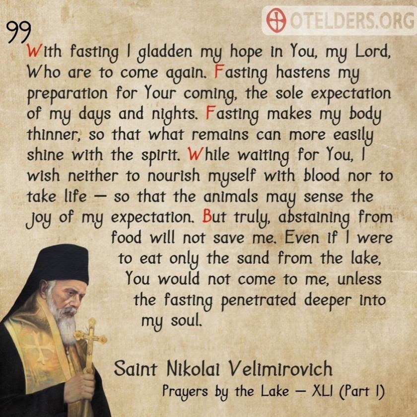 160949939_1612551528945646_5016398442054139758_n