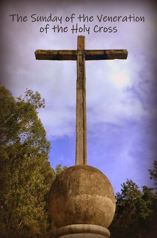 7a88464299307c855650d464ada3c2dc