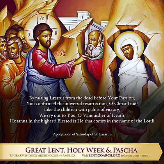 9b4cf56c68076d94de0e4f32c8bc2afb