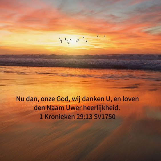 tekst bijbel 1 Kronieken 29,13