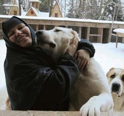 2ab79d1da5c921423eabc4322c1ad8e8