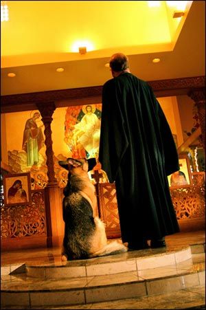 2b88d19b5670f9bcc135279afd612429