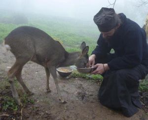 348d0fcae4d35d84da088cc7f8f09f3d