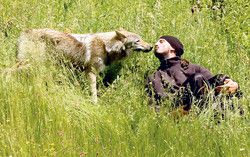 43534429a493a25f6d7749bbce5b611d