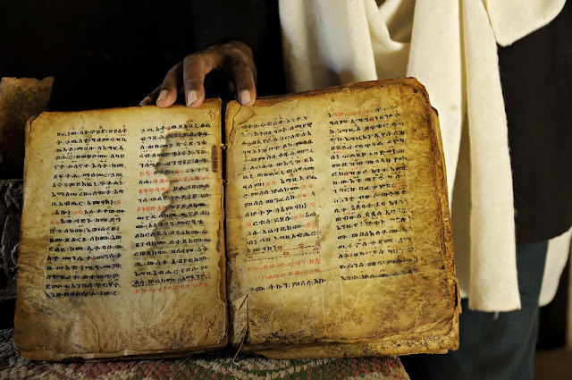 5120976753_db981cef89_b