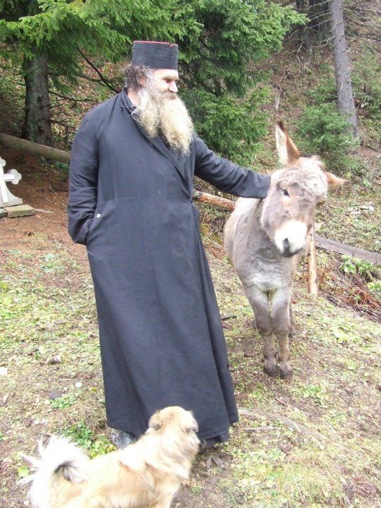 53a9351f7adf9105ee2274bc667d761c