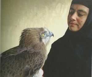 905db6f4b9c6e78d40fa85abd24d6013