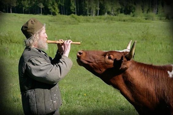 93439268c41fdd2cb83a09f4b551828b