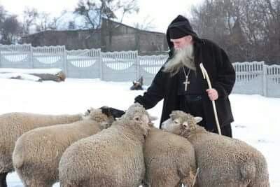 ac377feb6247b3b9219c310701ccb9e4