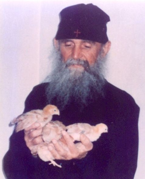 e217ad8cbb61eb81b294525794d93405