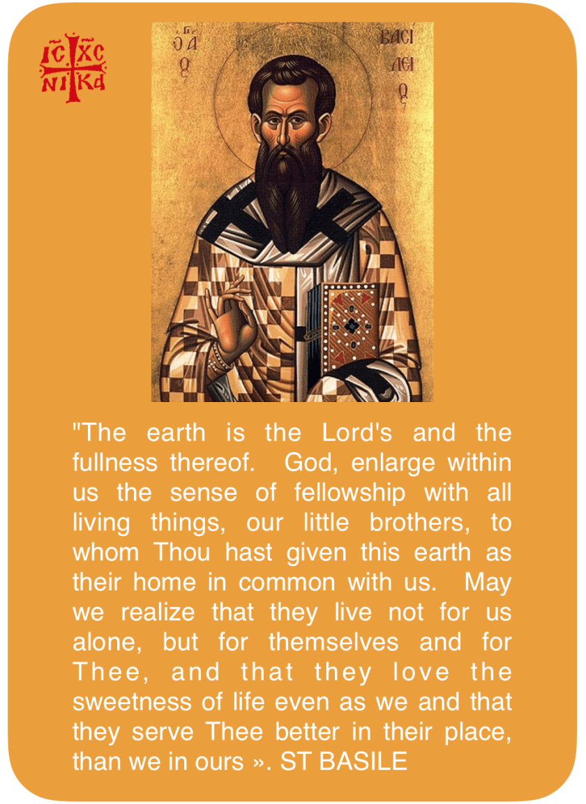 e7f2c423c860fe128d7c851902db07ab