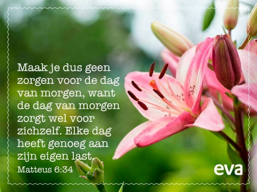 het-aardse...... (1)