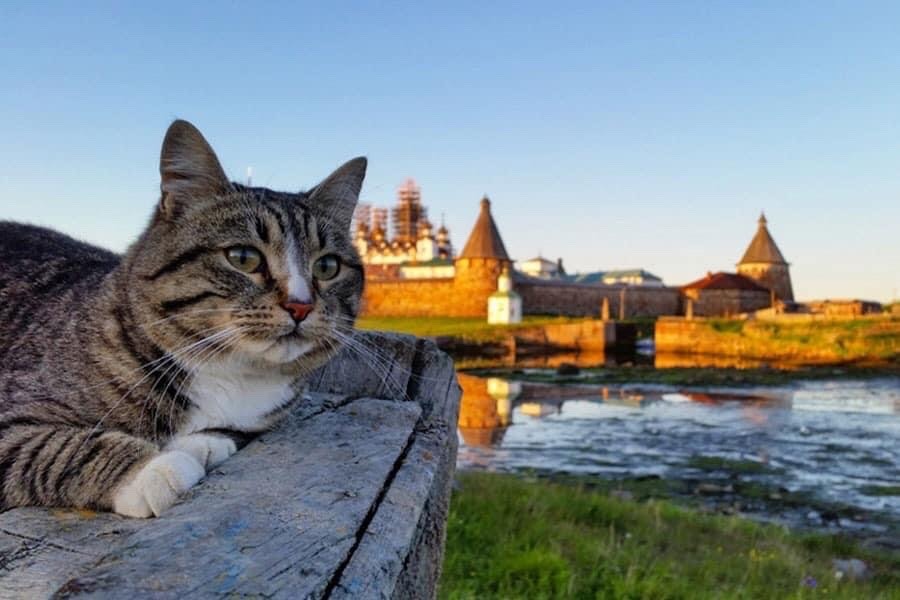 tumblr_26ae7aaa3aafe2cdb136f5bef93b1db0_cb40f5fb_1280