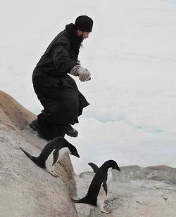 tumblr_msrnj1N3zl1sf40xbo1_250