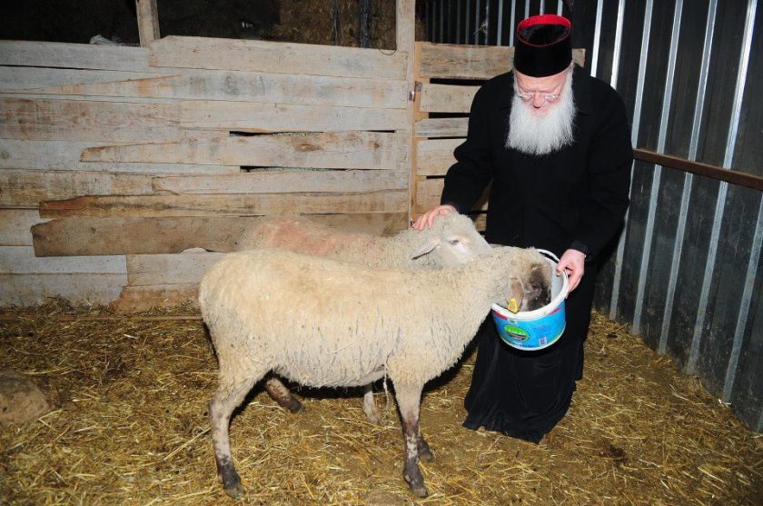 tumblr_mwq6u3rN921sf40xbo1_1280