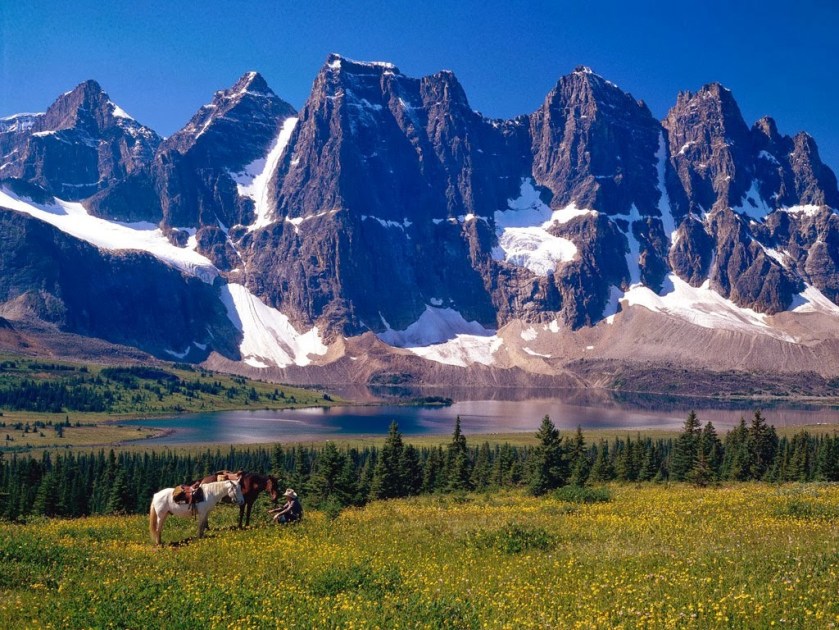 tumblr_mx1adsRUDy1sf40xbo1_1280