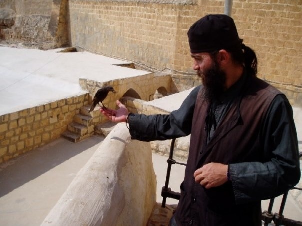 tumblr_n1b1i8Rqr11sf40xbo1_640