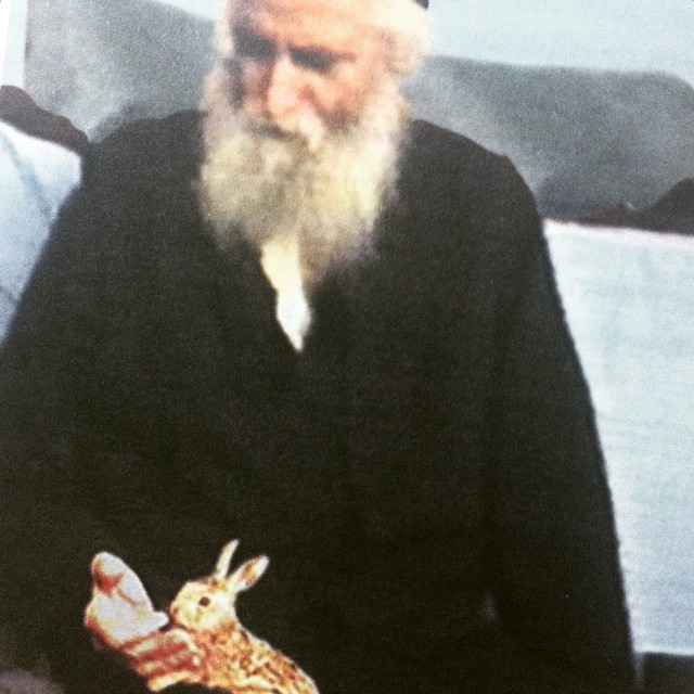 tumblr_njmts3N8Tl1ryvhgeo1_640