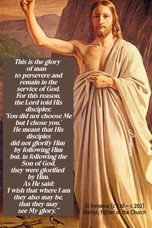this-is-the-glory-of-man-st-irenaeus-28-june-2021-1