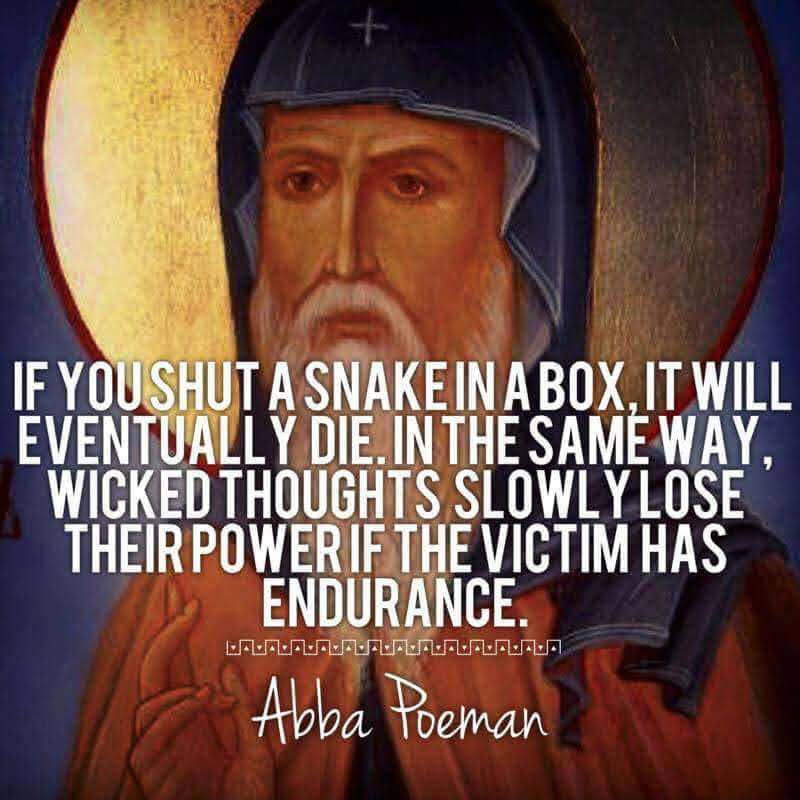 83854448_2498078167107173_535045731287826432_n