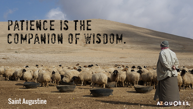 Geduld is de gezel van wijsheid