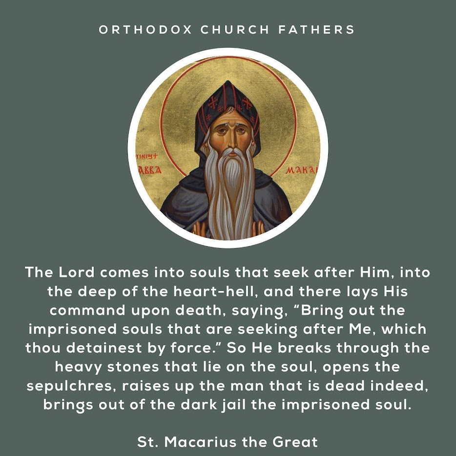 83602257_1504407753067201_7853345647741632512_o