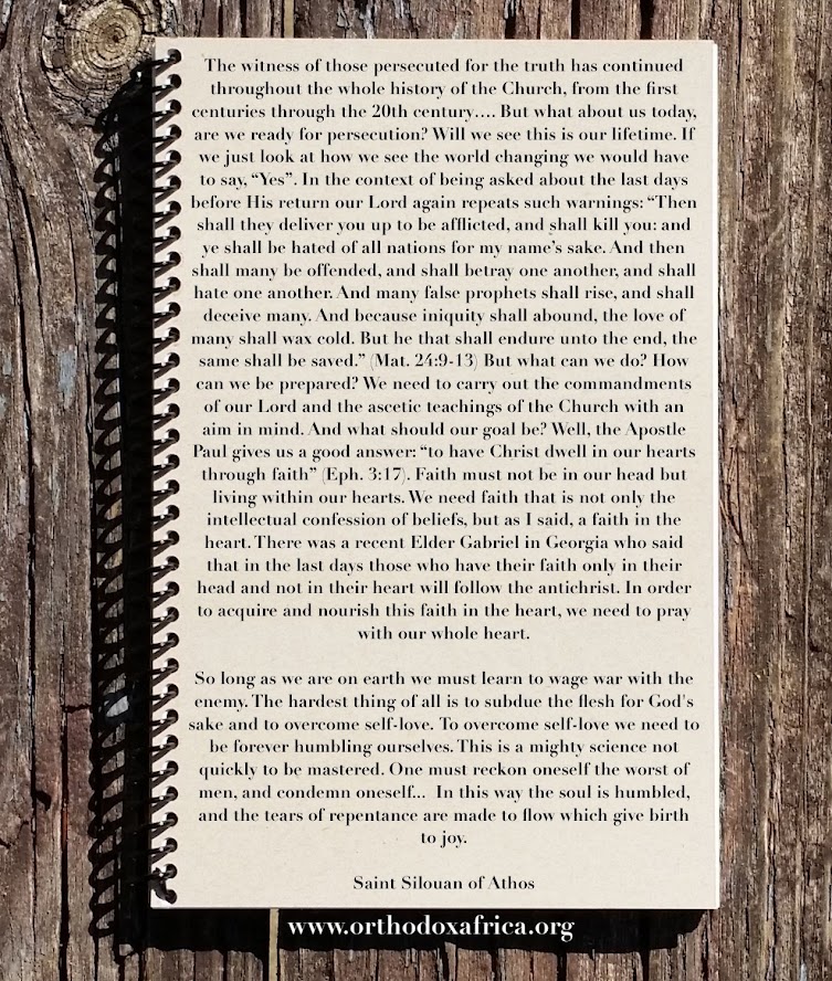 tumblr_pkvlj43yvN1wyzglao1_1280