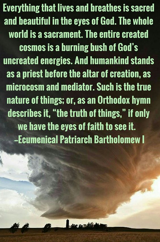 4865d6f15198a0f5b2c65a174e21a477