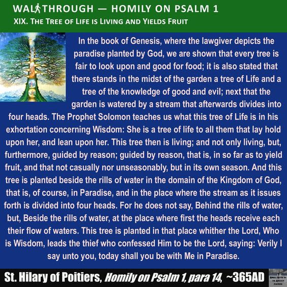 aac1dfec7683bb68feef24c388a0ee9a