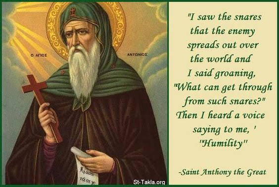 Antonius de Groet TEKST