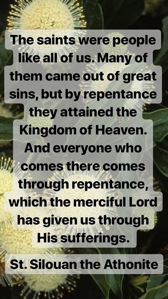 b58ff71b41feeacda4a74124ef7380f8