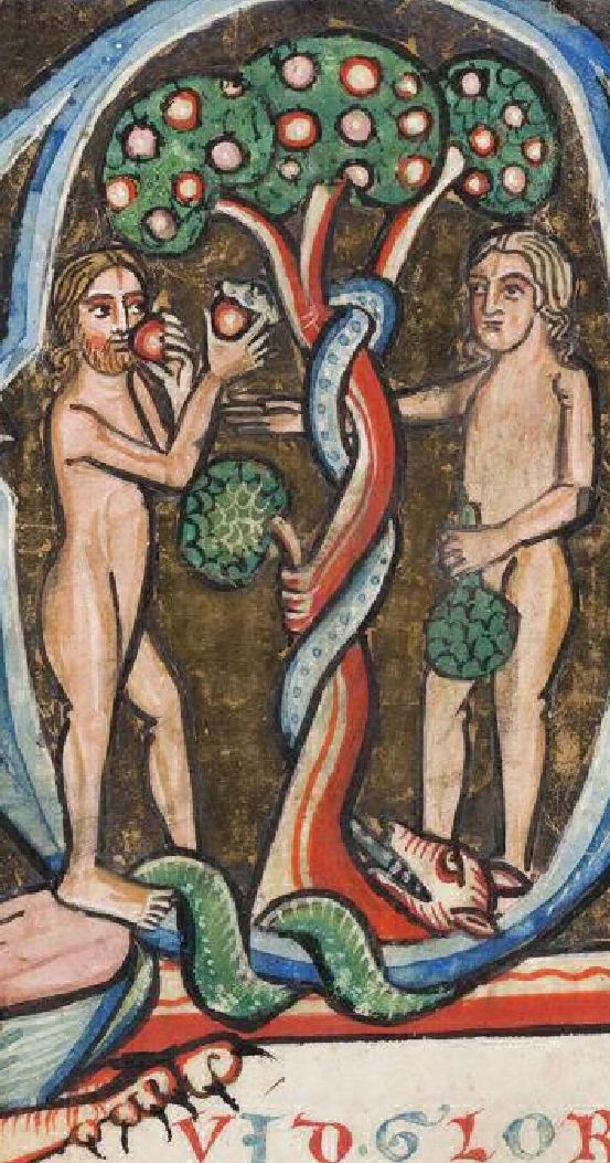 2a7707a36e4cbdf0d58c96d7a5afa1a8